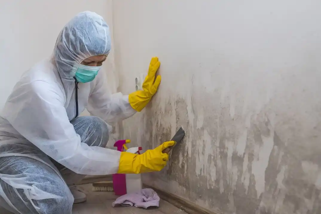 water damage restoration service Mission Trails